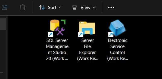 Icons on a local Windows desktop for Electronic Service Control, SQL Server Management Studio, a server file explorer and Task Manager, each marked Work Resources.